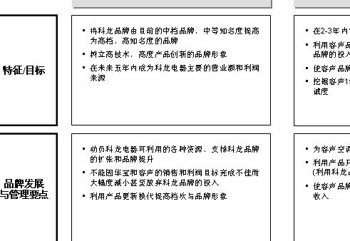 某電器品牌戰略研究報告