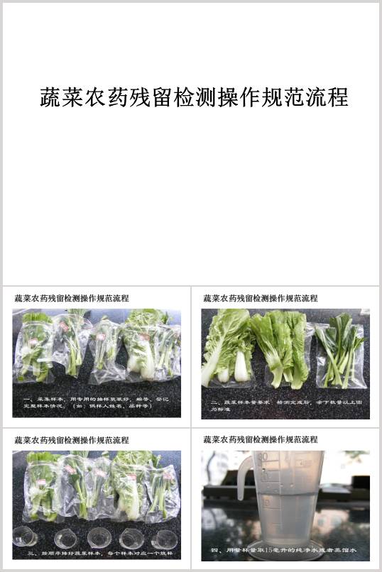 �߲��rˎ�����z�y����Ҏ������(PPT 33�)