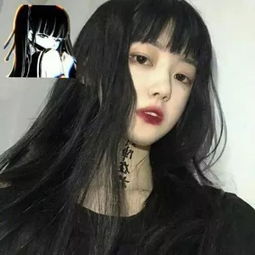 BOB体育�l�合app入口