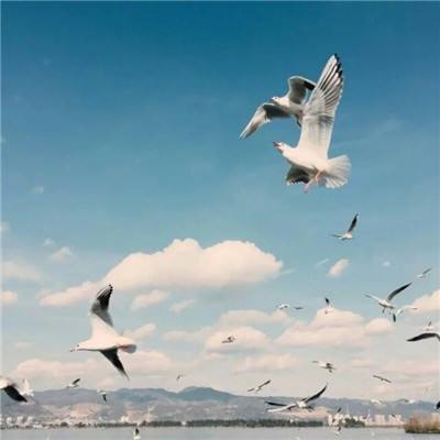 火狐体育下蝲app手机app下蝲